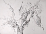 danieleguigou - CROQUIS & DESSINS