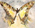 Papillon - COULEURS  - PEINTURES MODERNES